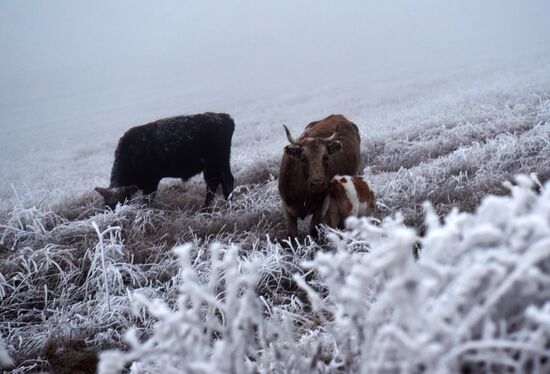Russia Winter