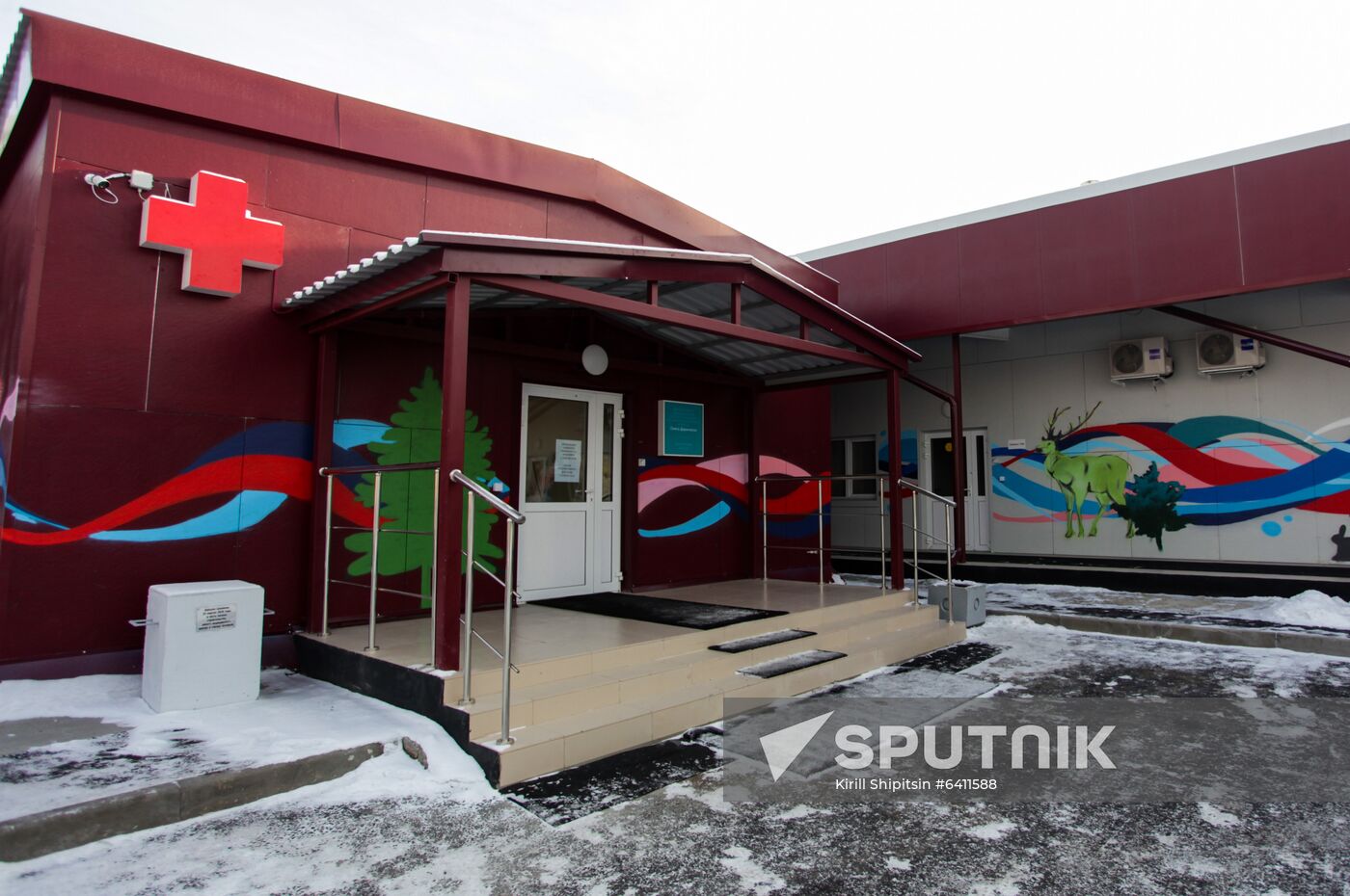 Russia Coronavirus Hospital Facilities