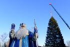 A Father Frost takes part in a ceremony to cut down a 96-year-old fir tree that will be put up at the Moscow Kremlin's Cathedral Square this New Year and Christmas, in the woods of the Naro-Fominsk District, outside Moscow, Russia. The 25-meter high tree will be delivered to Moscow on December 11. Location: Russia, Moscow region. Author: Alexey Maishev/Sputnik. Russia New Year Preparations