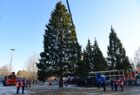 Employees cut down a 96-year-old fir tree that will be put up at the Moscow Kremlin's Cathedral Square this New Year and Christmas, in the woods of the Naro-Fominsk District, outside Moscow, Russia. The 25-meter high tree will be delivered to Moscow on December 11.
Location: Russia, Moscow region. Author: Alexey Maishev/Sputnik. Russia New Year Preparations