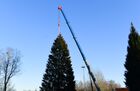 A ceremony to cut down a 96-year-old fir tree that will be put up at the Moscow Kremlin's Cathedral Square this New Year and Christmas, in the woods of the Naro-Fominsk District, outside Moscow, Russia. The 25-meter high tree will be delivered to Moscow on December 11. Location: Russia, Moscow region. Author: Alexey Maishev/Sputnik. Russia New Year Preparations