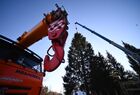 Employees cut down a 96-year-old fir tree that will be put up at the Moscow Kremlin's Cathedral Square this New Year and Christmas, in the woods of the Naro-Fominsk District, outside Moscow, Russia. The 25-meter high tree will be delivered to Moscow on December 11.
Location: Russia, Moscow region. Author: Evgeny Odinokov/Sputnik. Russia New Year Preparations