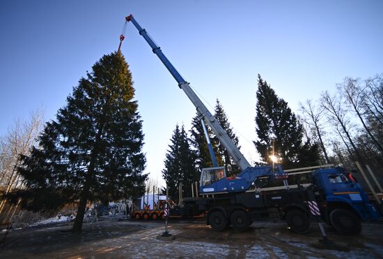 Russia New Year Preparations