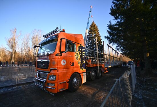 Russia New Year Preparations