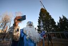 A Father Frost takes part in a ceremony to cut down a 96-year-old fir tree that will be put up at the Moscow Kremlin's Cathedral Square this New Year and Christmas, in the woods of the Naro-Fominsk District, outside Moscow, Russia. The 25-meter high tree will be delivered to Moscow on December 11. Location: Russia, Moscow region. Author: Evgeny Odinokov/Sputnik. Russia New Year Preparations