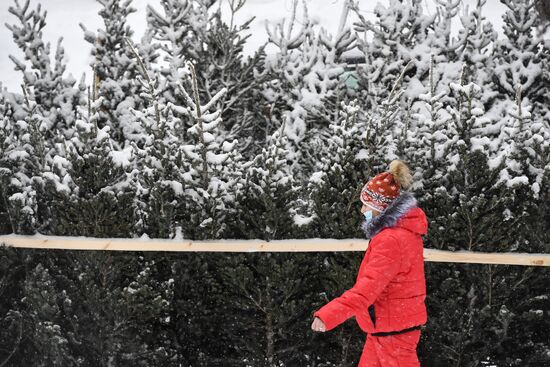 Russia New Year Preparations