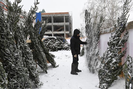 Russia New Year Preparations