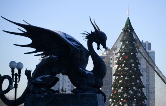 Russia New Year Preparations