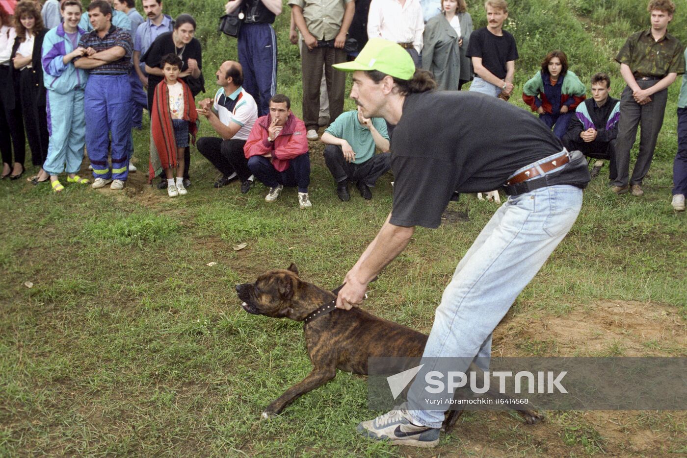 Dog fights in Moscow