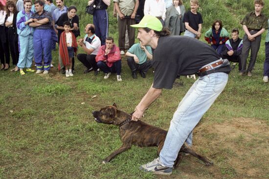 Dog fights in Moscow