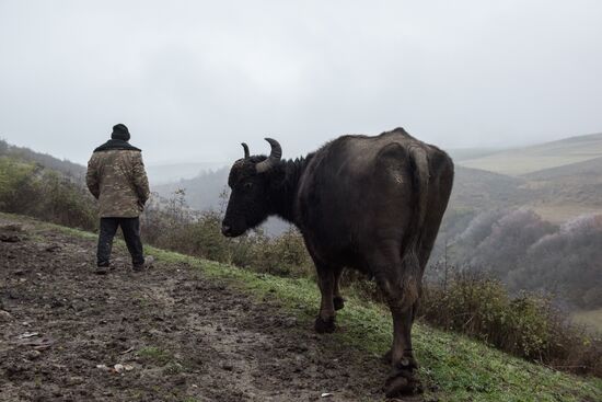 Nagorno-Karabakh Daily Life