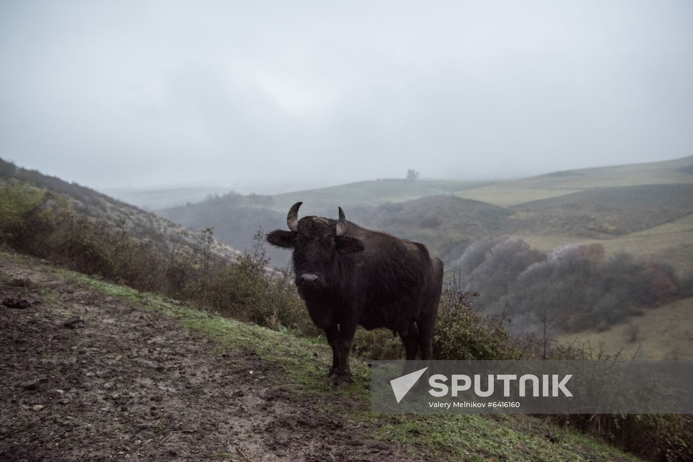 Nagorno-Karabakh Daily Life
