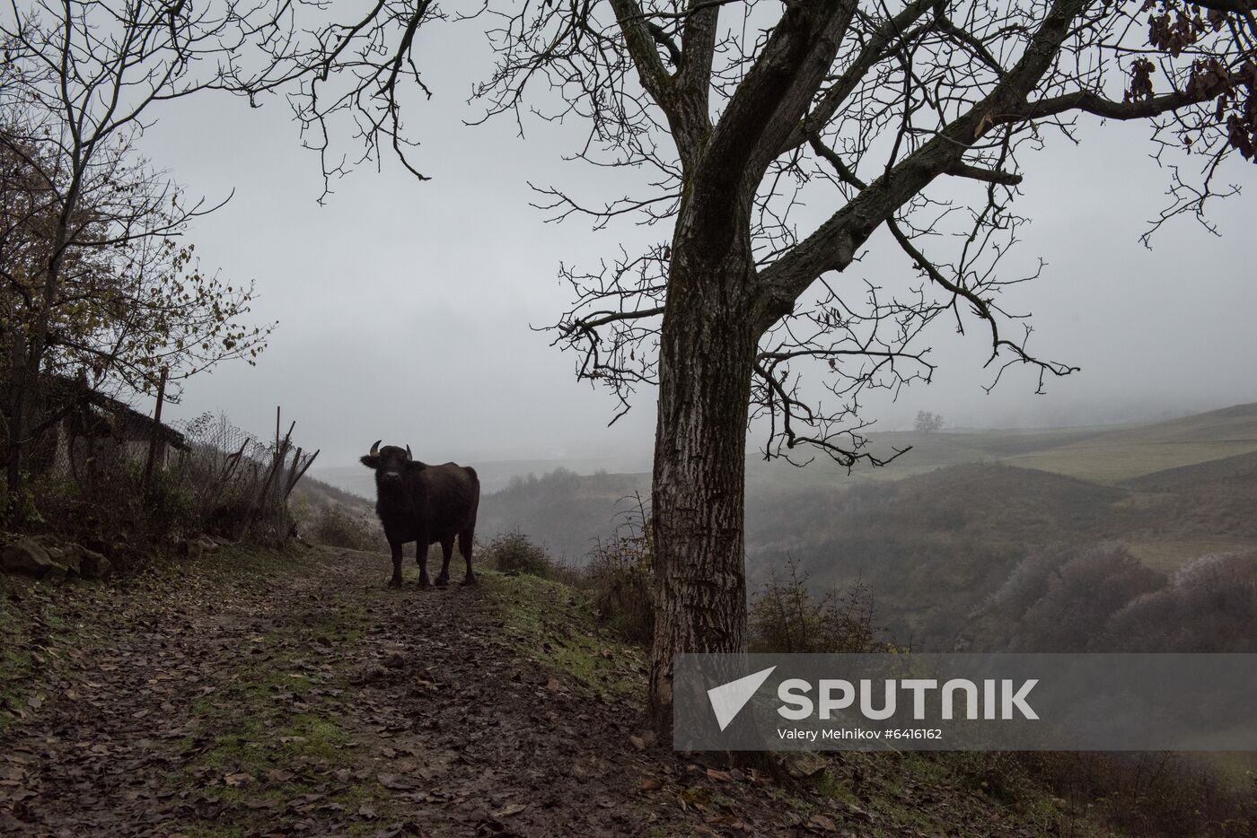 Nagorno-Karabakh Daily Life