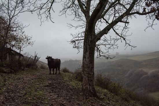 Nagorno-Karabakh Daily Life