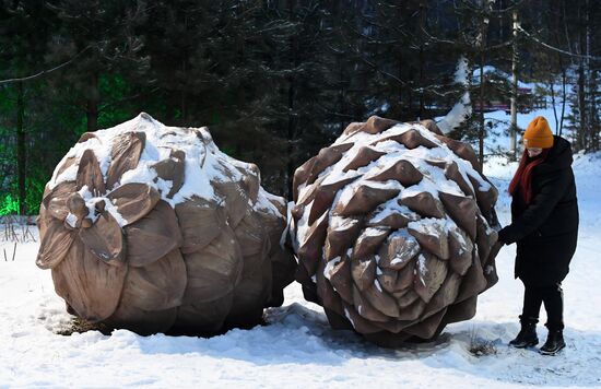 Russia New Year Preparations