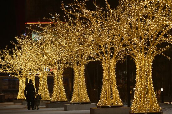 Russia New Year Preparations