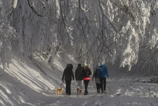 Russia Winter