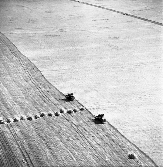 APN-1966 Harvest exhibition