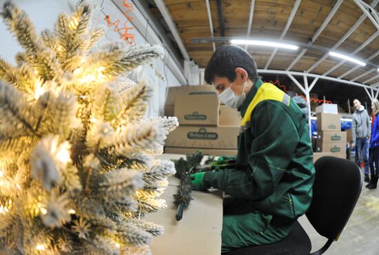 Russia New Year Preparations