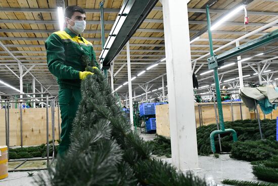 Russia New Year Preparations