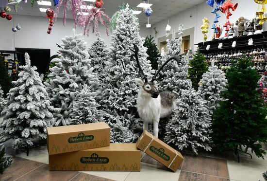 Russia New Year Preparations