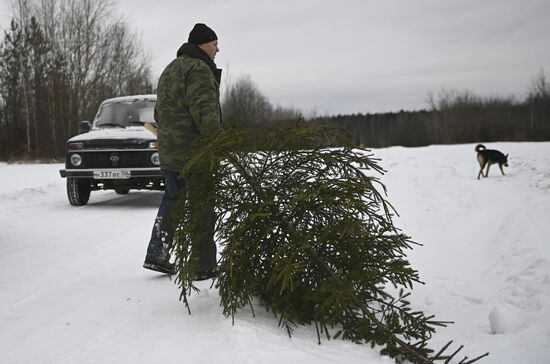 Russia New Year Preparations 