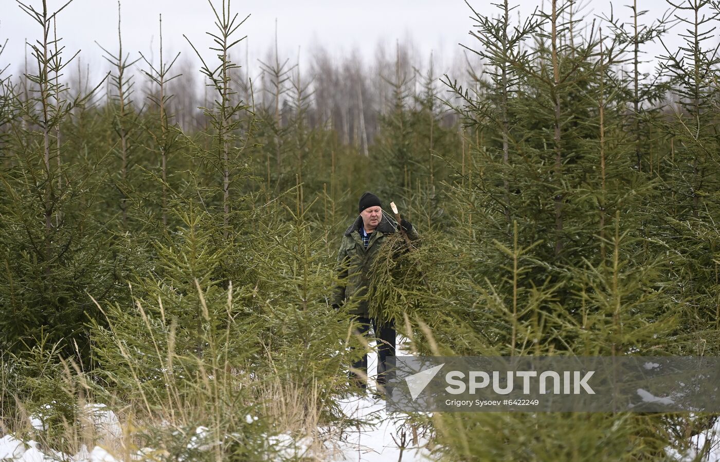 Russia New Year Preparations