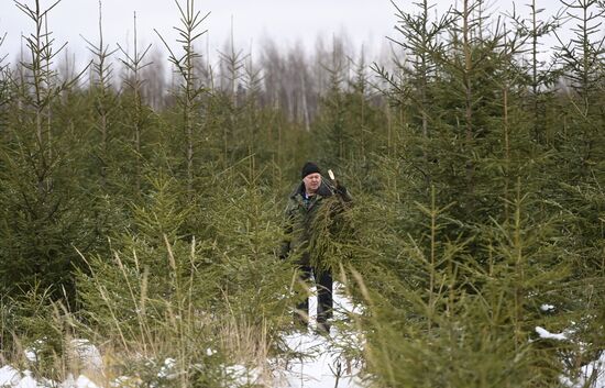 Russia New Year Preparations 