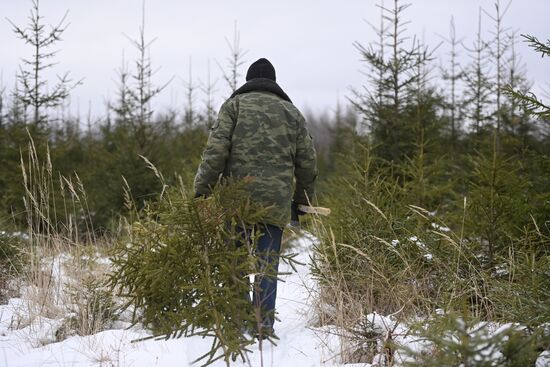 Russia New Year Preparations 