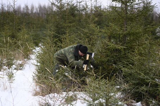 Russia New Year Preparations 