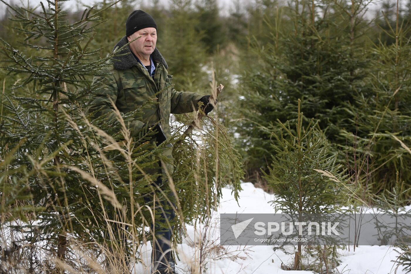 Russia New Year Preparations