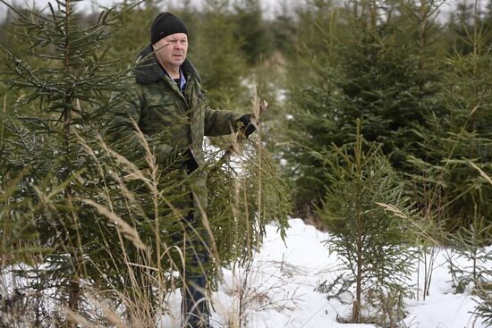 Russia New Year Preparations 