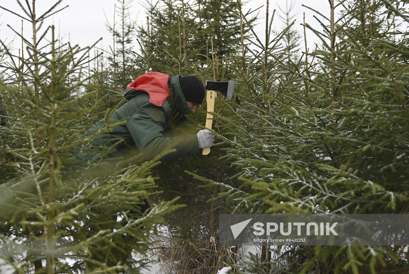 Russia New Year Preparations 