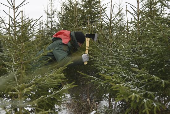 Russia New Year Preparations 