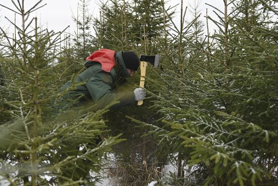 Russia New Year Preparations 