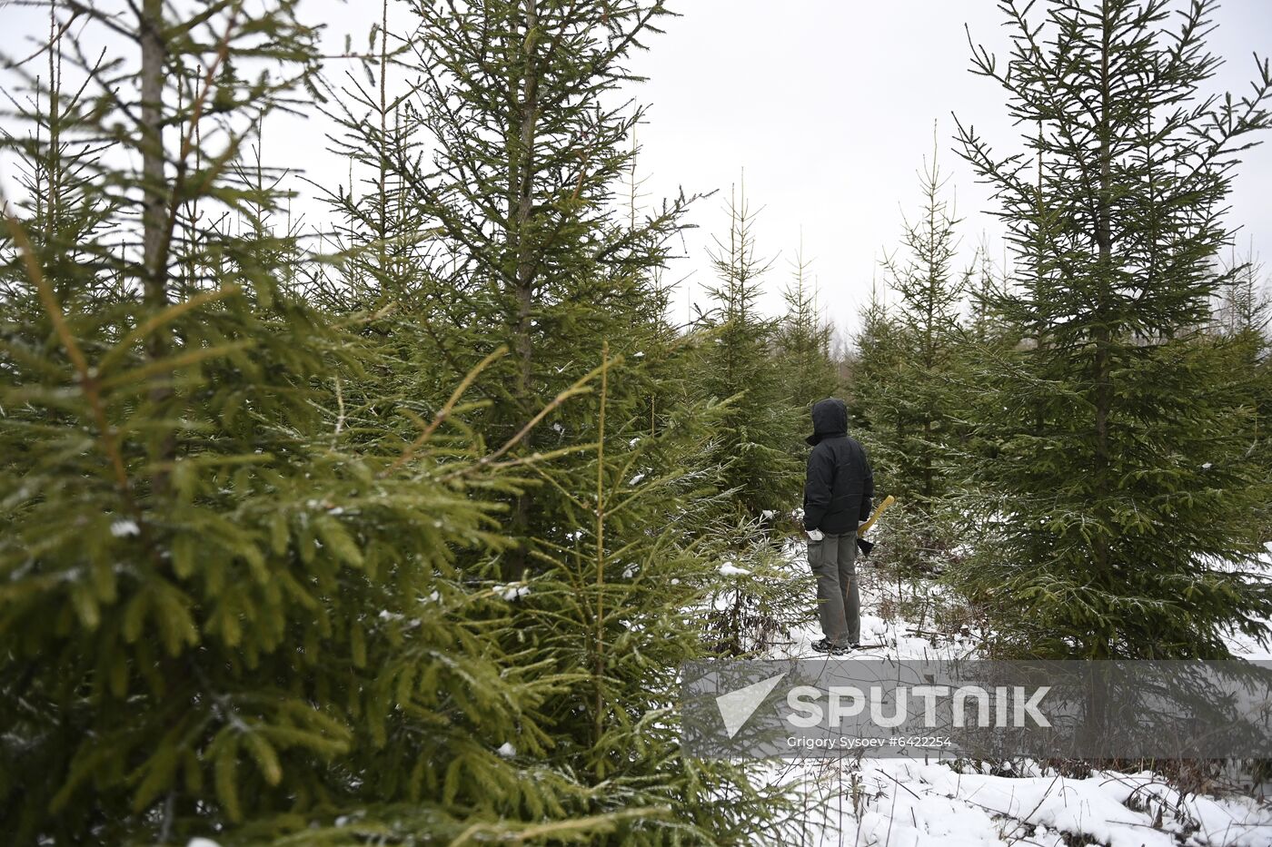 Russia New Year Preparations