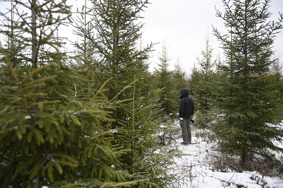 Russia New Year Preparations 