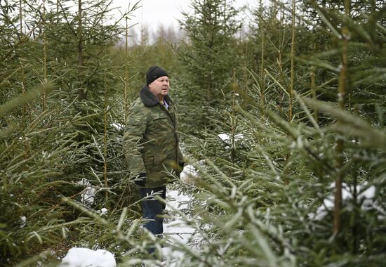 Russia New Year Preparations 