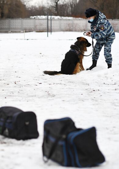 Russia Canine Service