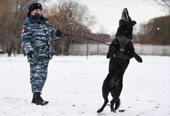 Russia Canine Service