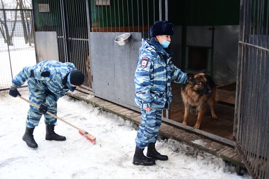 Russia Canine Service