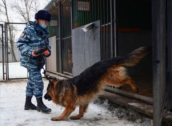 Russia Canine Service