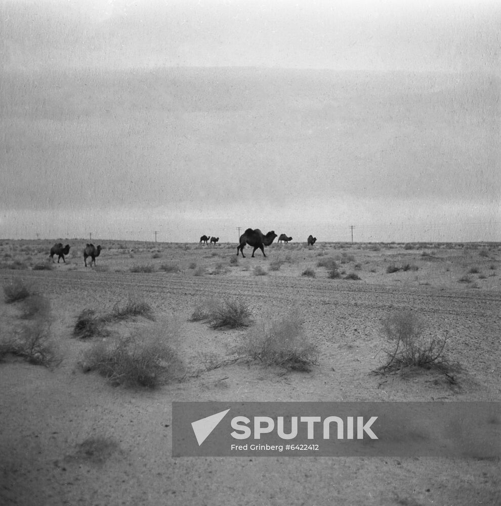 Karakum Desert in Uzbekistan