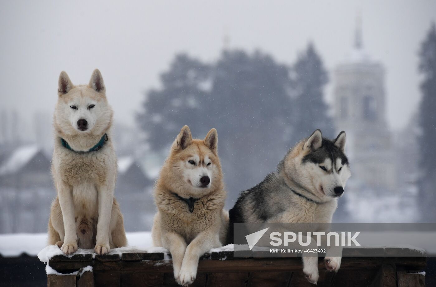 Russia Winter