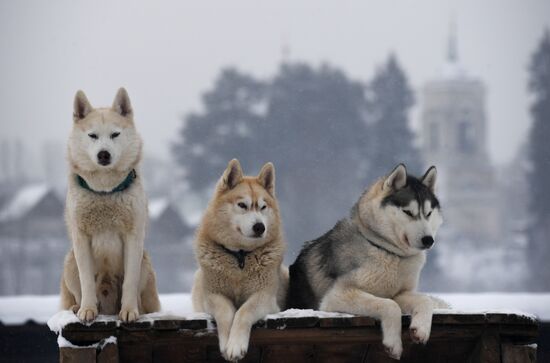 Russia Winter