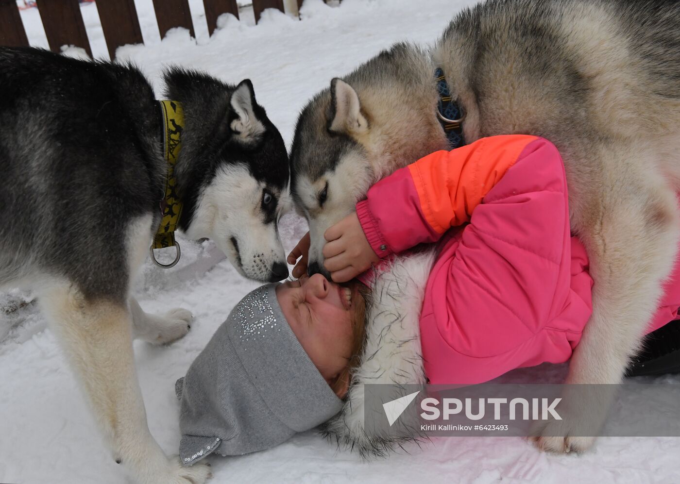 Russia Winter