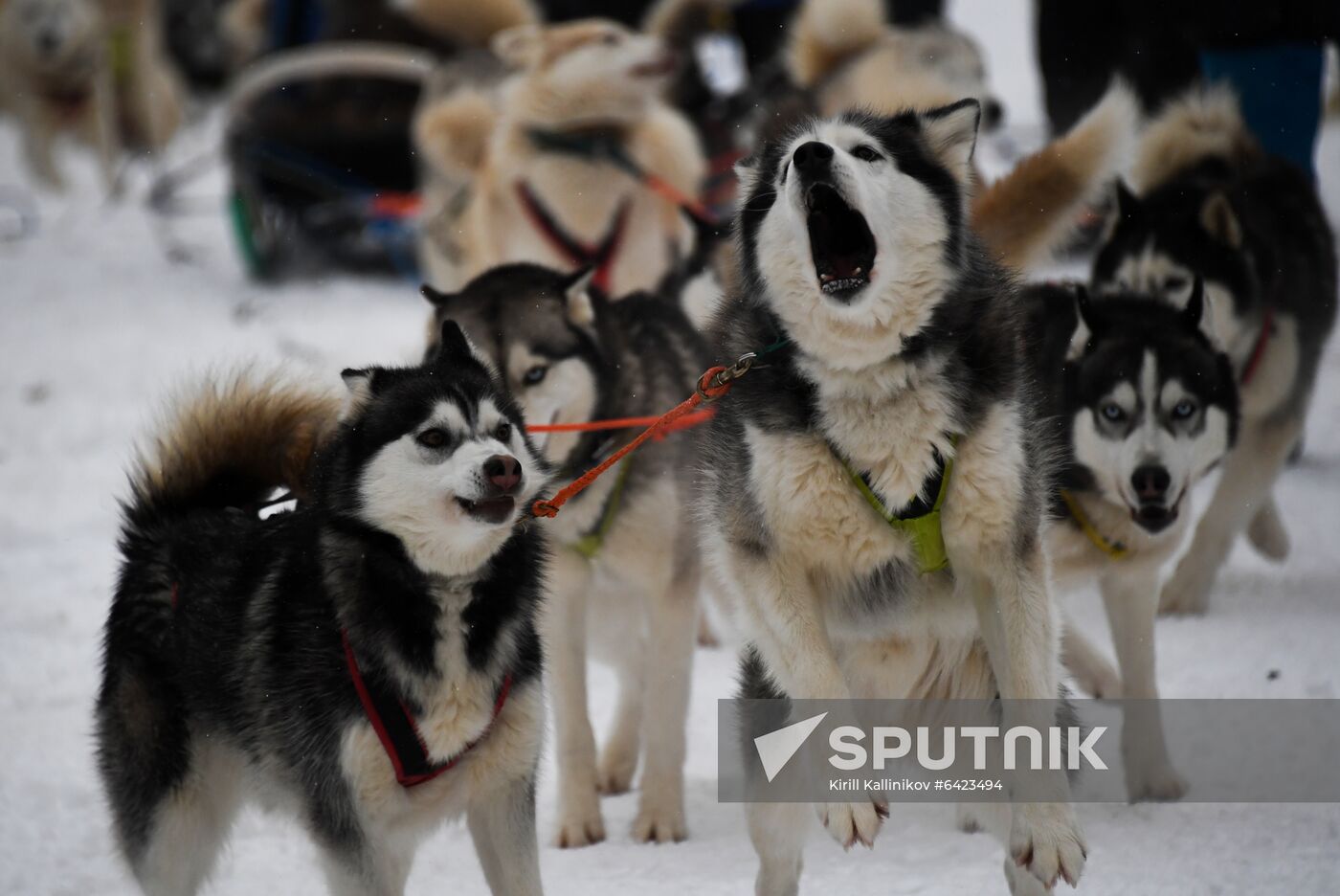 Russia Winter