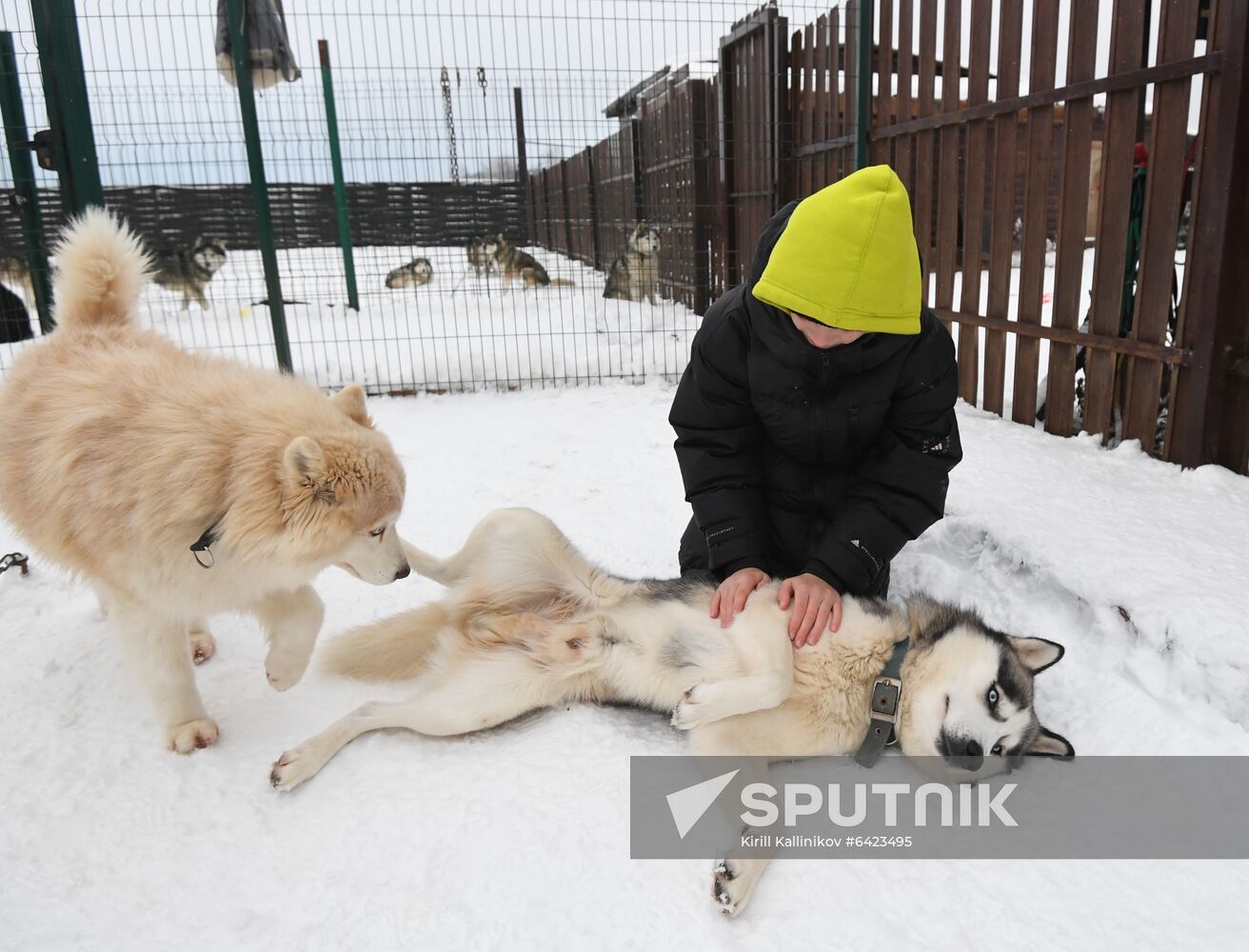 Russia Winter