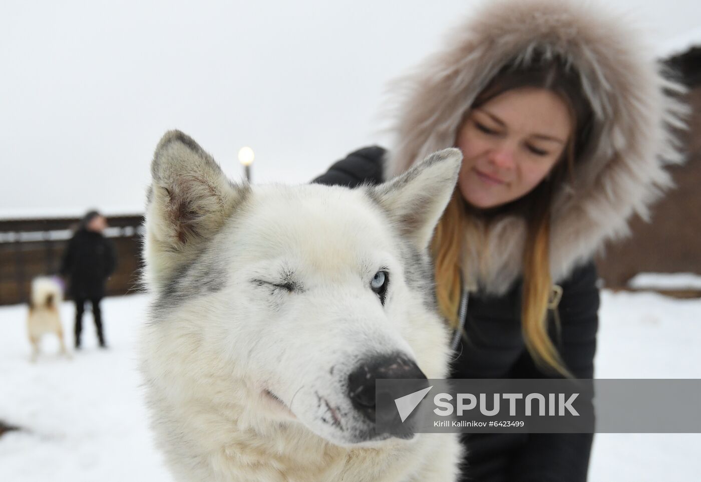 Russia Winter