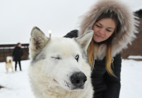 Russia Winter
